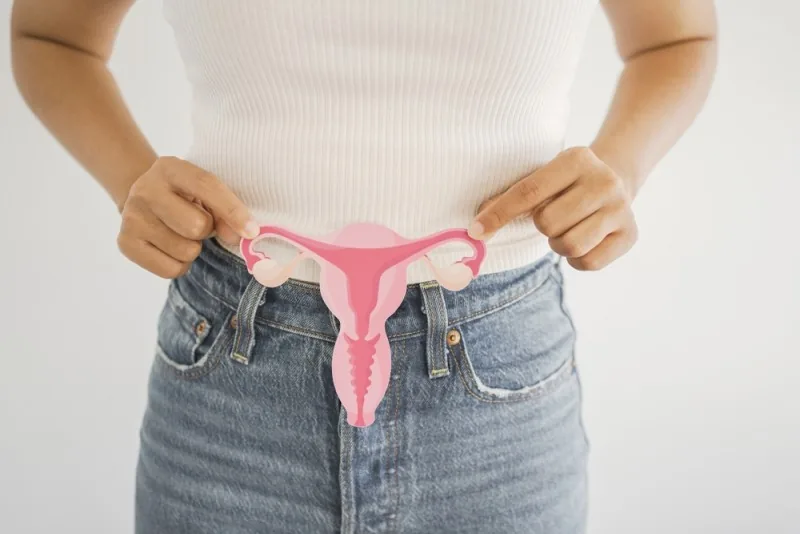 Tot ce trebuie să știi despre estrogen: rol, funcții, valori normale în funcție de vârstă